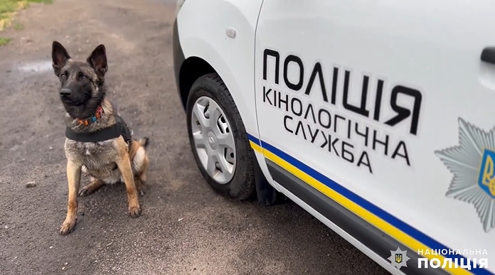 В Николаеве показали четерехлапых помощников полиции и рассказали об их умениях (видео)