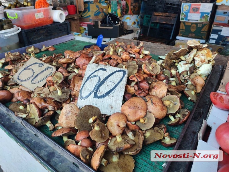 Шок-цена на сало и подорожавшие яйца: репортаж с рынка прифронтового Николаева (фото)