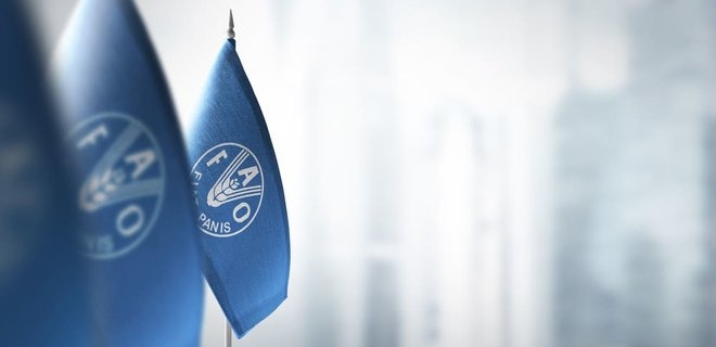 Продовольственная организация ООН откроет офис в Украине