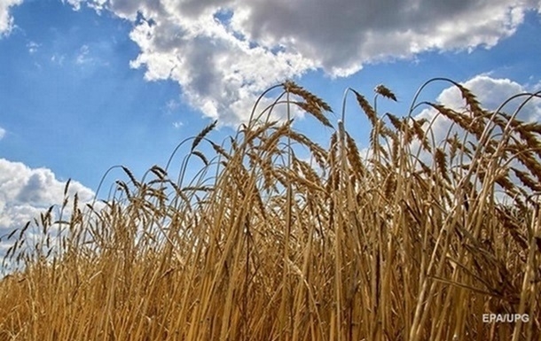 Оккупанты стали активнее вывозить ворованное украинское зерно, - соцсети