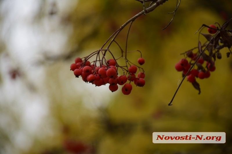В Украине прогнозируют потепление в последние выходные октября: в Николаеве +17°