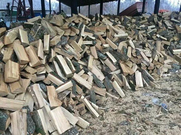 С понедельника жители Николаевской области могут бесплатно получить дрова: куда обращаться