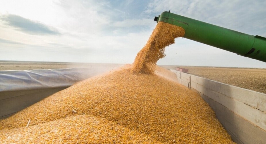 Зеленский: Украина продолжит выполнять «зерновую инициативу» с ООН и Турцией