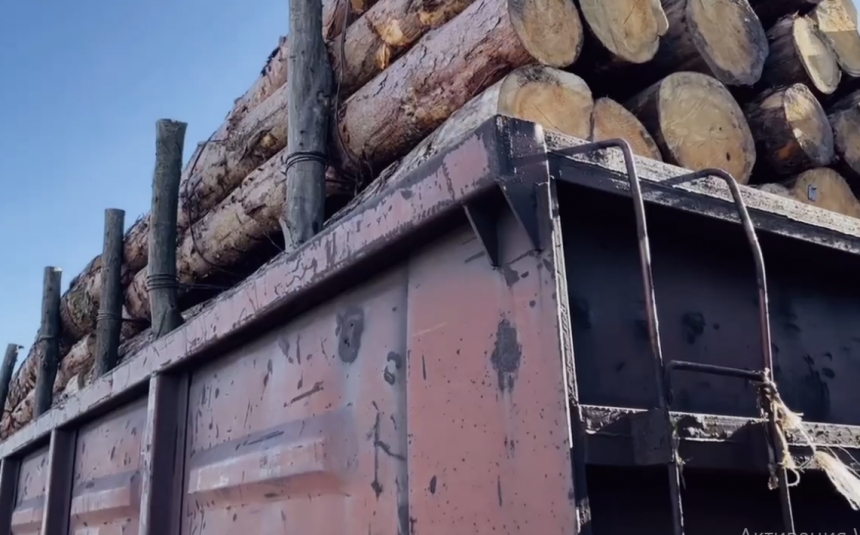Жители Николаевской области начали получать дрова: Ким сообщил, куда обращаться