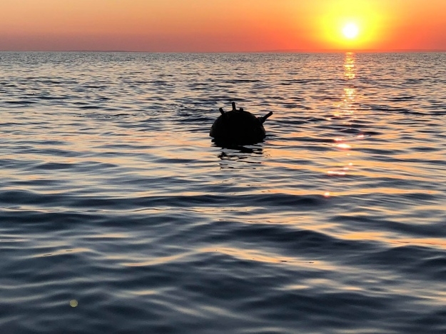 Вибух в Одесі: у морі знищили якірну міну