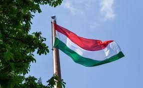 Венгрия выступила против нового пакета санкций в отношении России, - СМИ