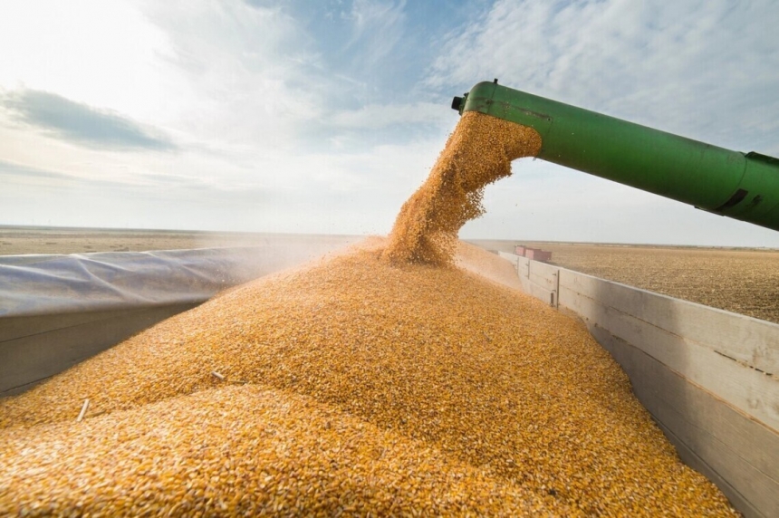 У грудні Україна експортувала до африканських країн понад мільйон тонн пшениці