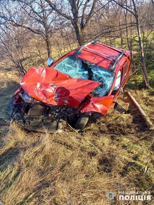У Миколаївській області «Нісан» вилетів з дороги: 4 особи постраждали, зокрема діти