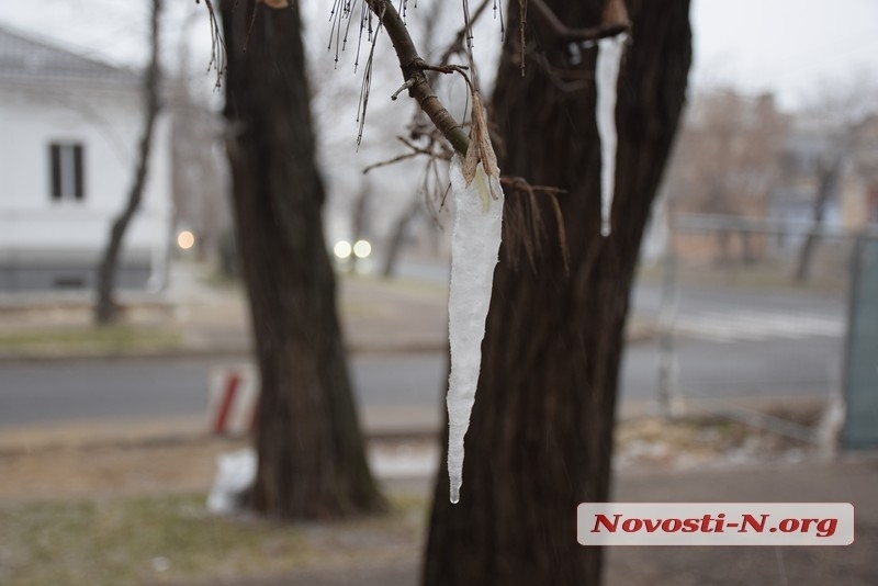 В Николаевской области ожидаются морозы и штормовой ветер