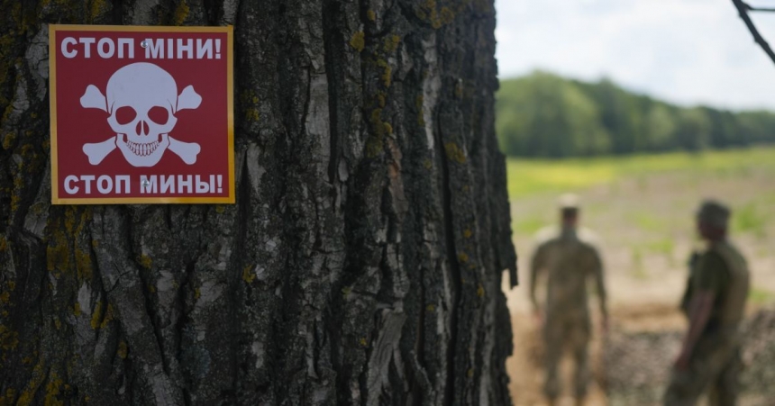 В Николаевской области собиратель дров наткнулся на мину и остался без руки