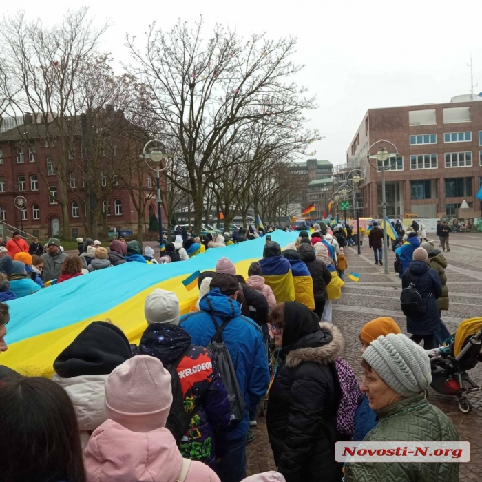 Миколаївці на мітингу у Німеччині святкували День Соборності та вимагали «Леопарди» (фото)