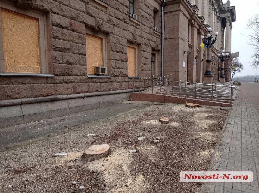 Руйнували будівлю: у департаменті ЖКГ пояснили, навіщо спиляли блакитні ялинки біля Миколаївської мерії (відео)