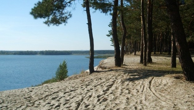 На Миколаївщині через суд вимагають повернути землі з лісом вартістю майже 600 млн грн