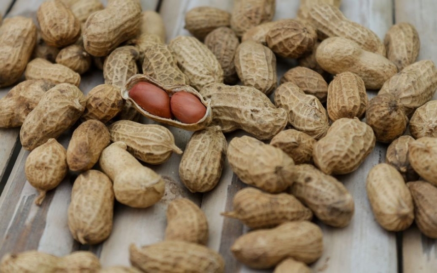 В Україну завезли отруйний арахіс із Єгипту: продукт уже продавали в Одесі