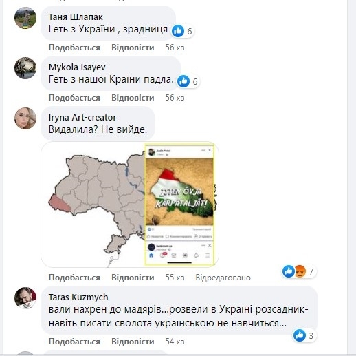 Депутат облради зобразила Закарпаття у квітах угорського прапора, - ЗМІ