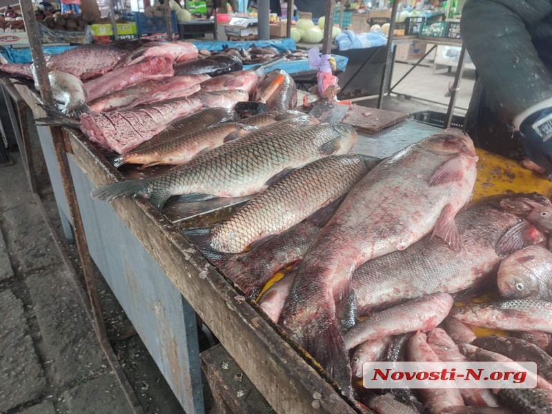 Зимовий ринок у Миколаєві: які ціни на основні продукти та що рекордно подорожчало