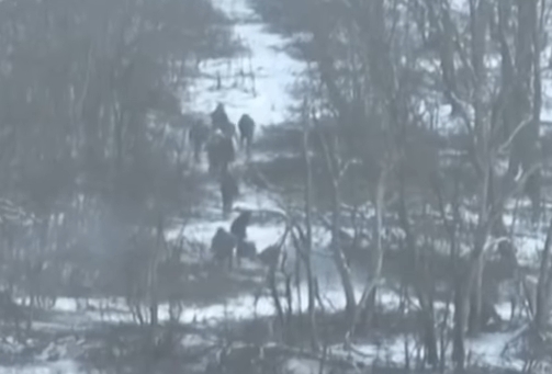 Николаевские десантники показали, как загнали оккупантов в огненный мешок под Марьинкой (видео)