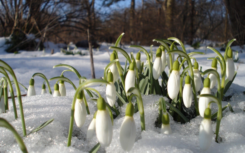 Весна уже в феврале: народный синоптик удивил прогнозом