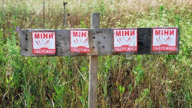 Поля та сільгоспугіддя на Миколаївщині ще не починали розміновувати, - Кім