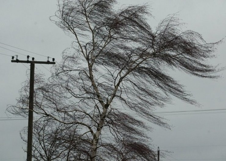 Завтра в Николаевской области ухудшится погода – синоптики обещают сильный ветер