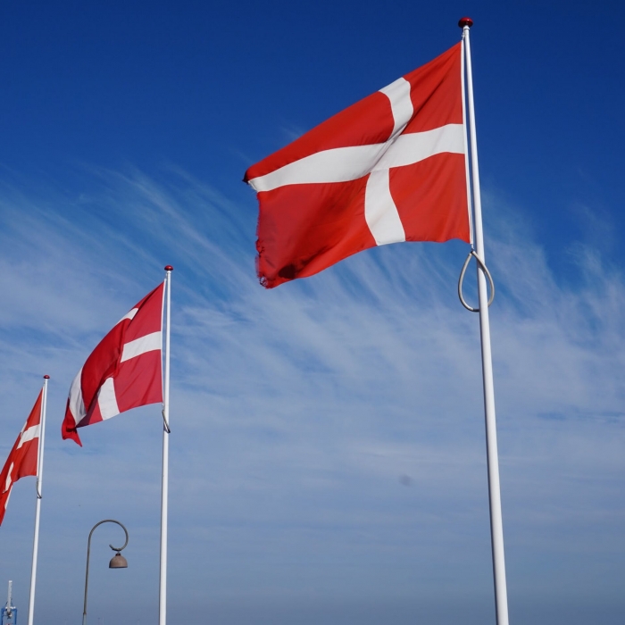 Дания сообщила, сколько готова дать Николаевщине «экстренной помощи»