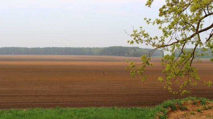 Україна розпочала другу посівну за час війни