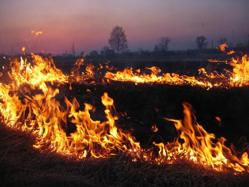 Николаевская область охвачена пожарами