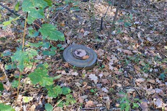 Житель Херсонской области потерял ногу, наступив в лесу на мину