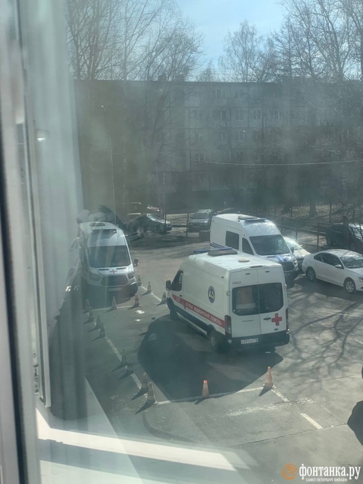 В Санкт-Петербурге подросток устроил в школе стрельбу: есть раненые