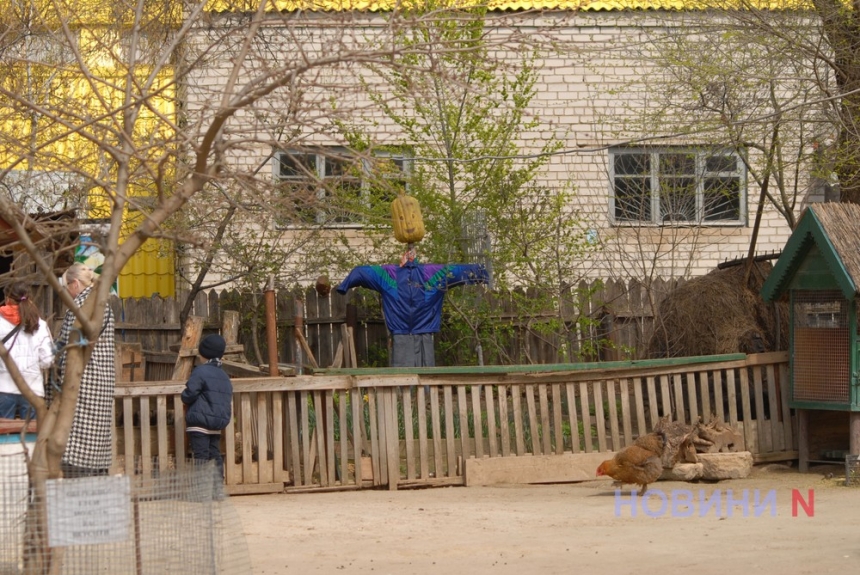 Как выглядит Николаевский зоопарк, переживающий уже третью войну (фоторепортаж)