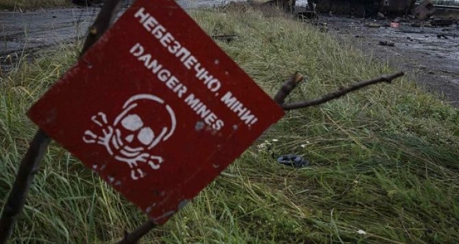 В Херсонской области погиб мирный житель, подорвавшись на мине