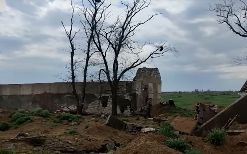 Село под Николаевом после оккупации: в посадках вражеские танки, дома разрушены (видео)