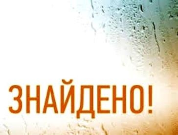 У поліції повідомили: дівчинка, що зникла в Миколаєві, знайшлася