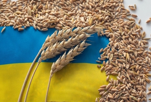 У Туреччині заявили, що зернову угоду важливо продовжити у травні