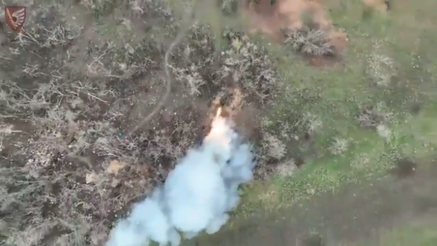 Николаевские десантники показали уничтожение противника при помощи ударных дронов (видео)