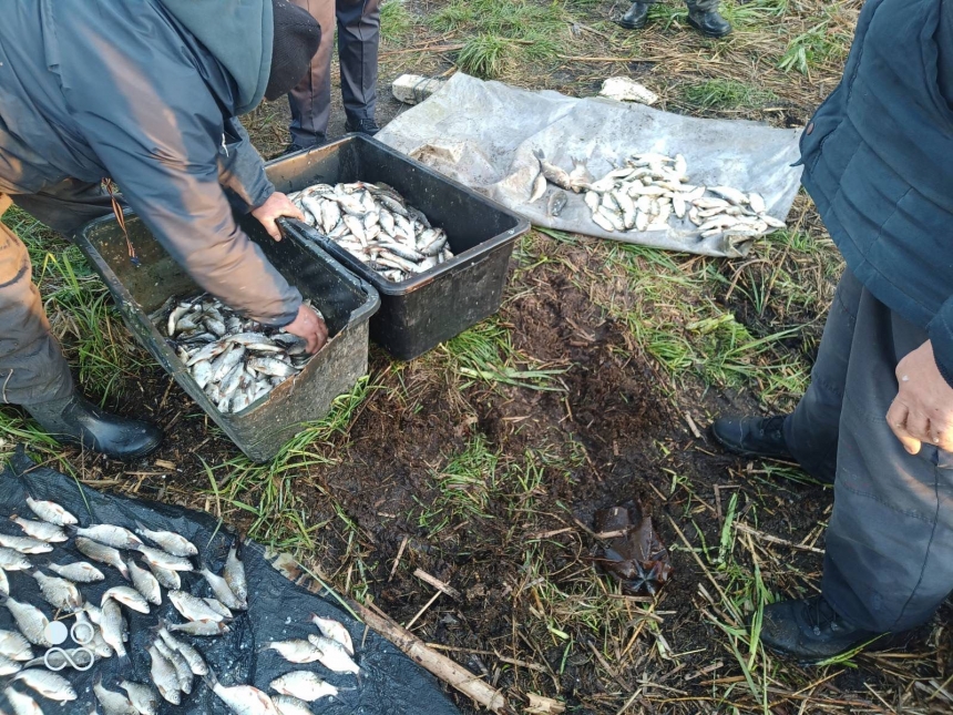 На Миколаївщині двоє порушників наловили риби на понад 2 млн гривень