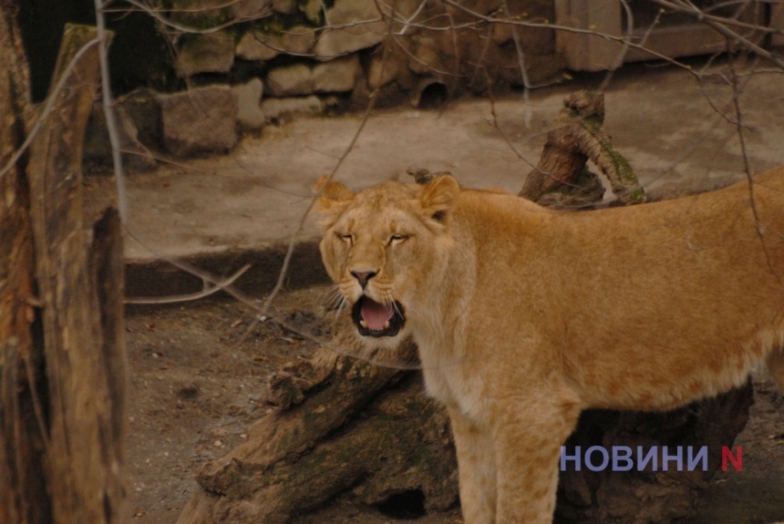 Миколаївському зоопарку виповнилося 122 роки