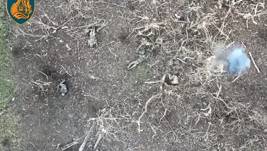 Николаевские морпехи показали на видео, как с помощью дронов уничтожают оккупантов