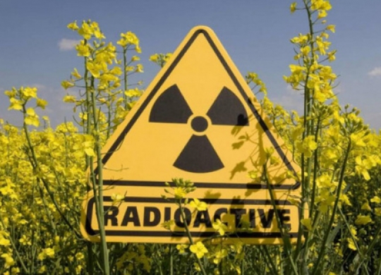Радиационный фон в Николаевской области: показатели на 10 мая