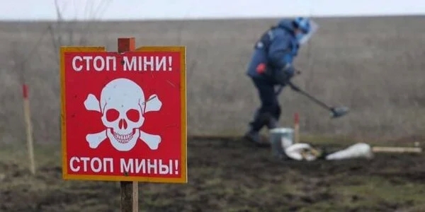 В Херсонской области сдетонировала мина - погиб человек