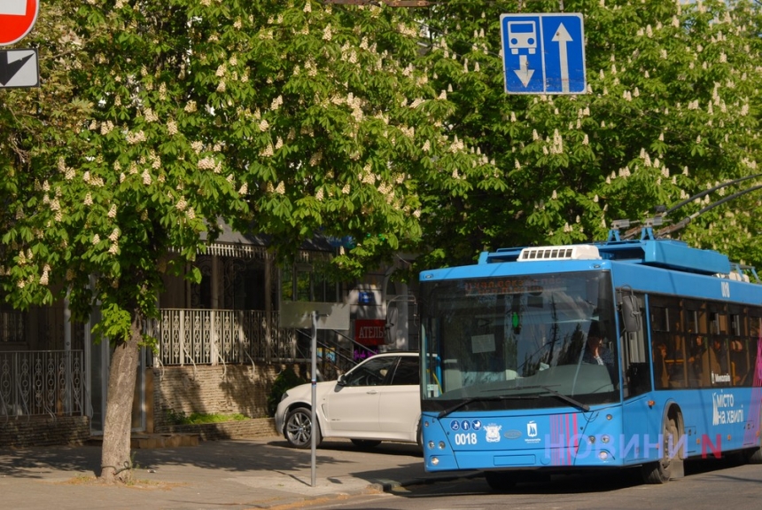 Як у Миколаєві цвіте каштан – травнева радість городян (фоторепортаж)