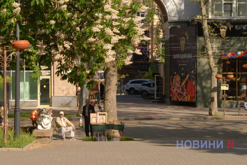 Как в Николаеве цветет каштан – майская радость горожан (фоторепортаж)