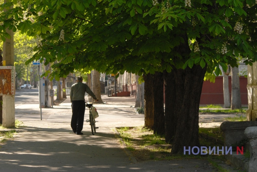 Как в Николаеве цветет каштан – майская радость горожан (фоторепортаж)