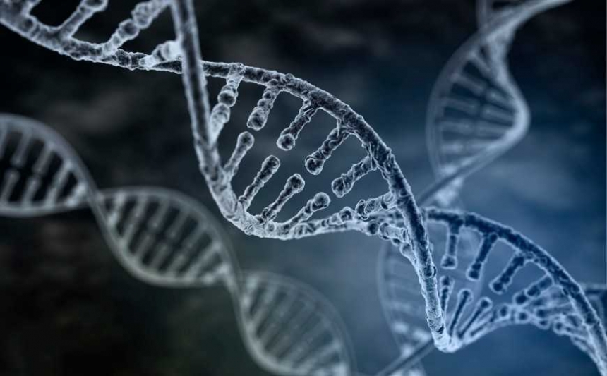 Ученые впервые создали коллективный геном человечества
