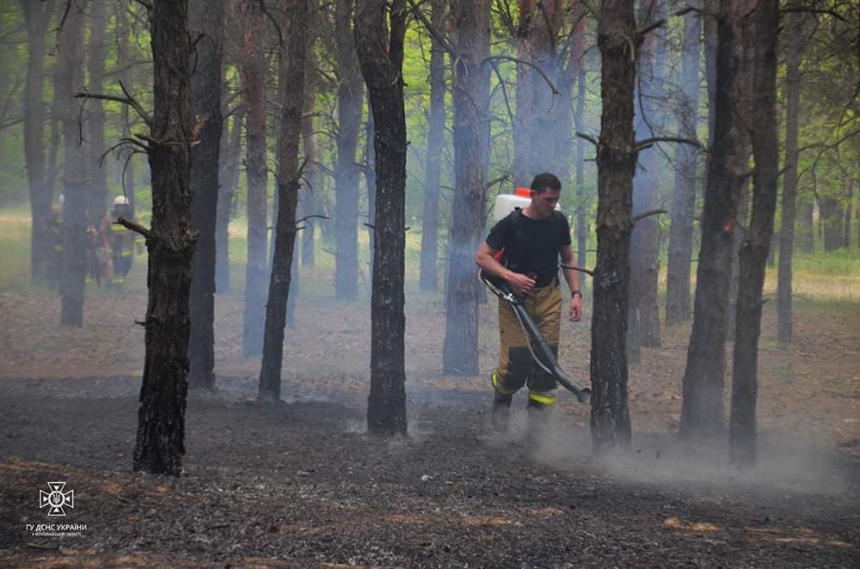 Під Миколаєвом масштабно горів ліс