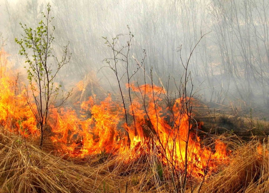 В среду в Николаевской области ожидается высокая пожарная опасность