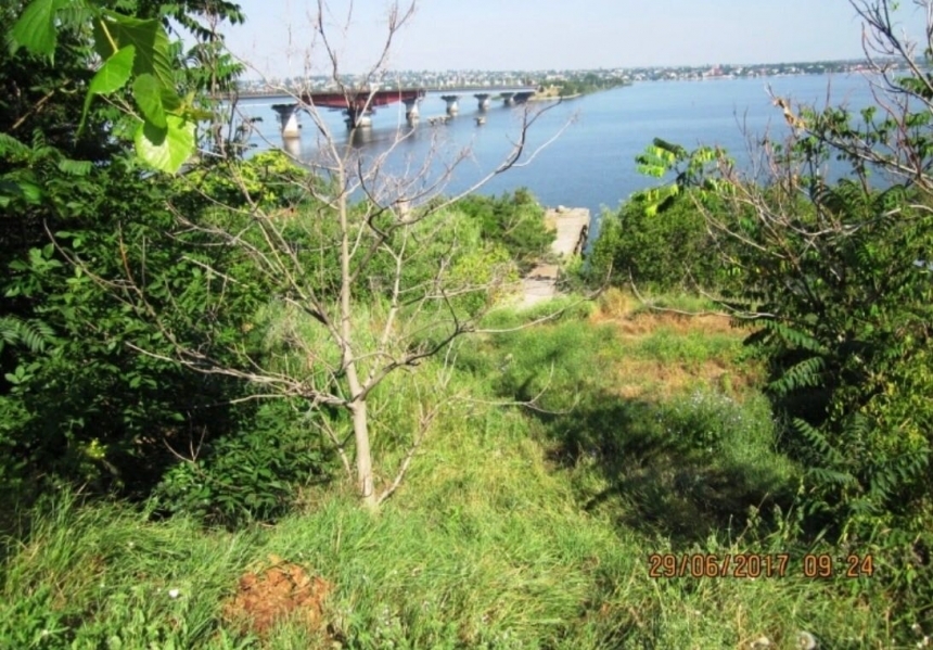 В Николаеве горсовет незаконно продал под частную застройку участки в лесу на берегу Южного Буга