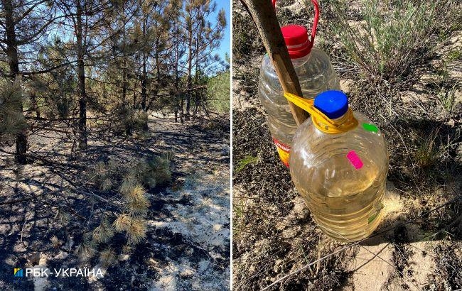 На Кінбурнській косі готуються гасити лісові пожежі пляшками води: окупанти вкрали техніку
