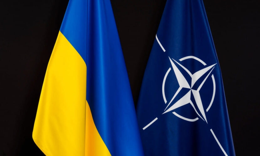 Члены НАТО могут отправить войска в Украину — The Guardian