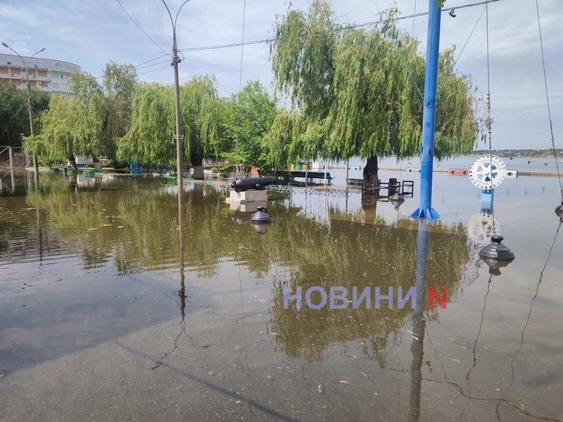 Депутат Миколаївської облради заявила, що жодна лікарня не здатна допомогти у разі епідемії  